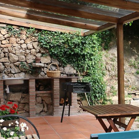 Casa Ecologica En Plena Naturaleza Arboli Экстерьер фото