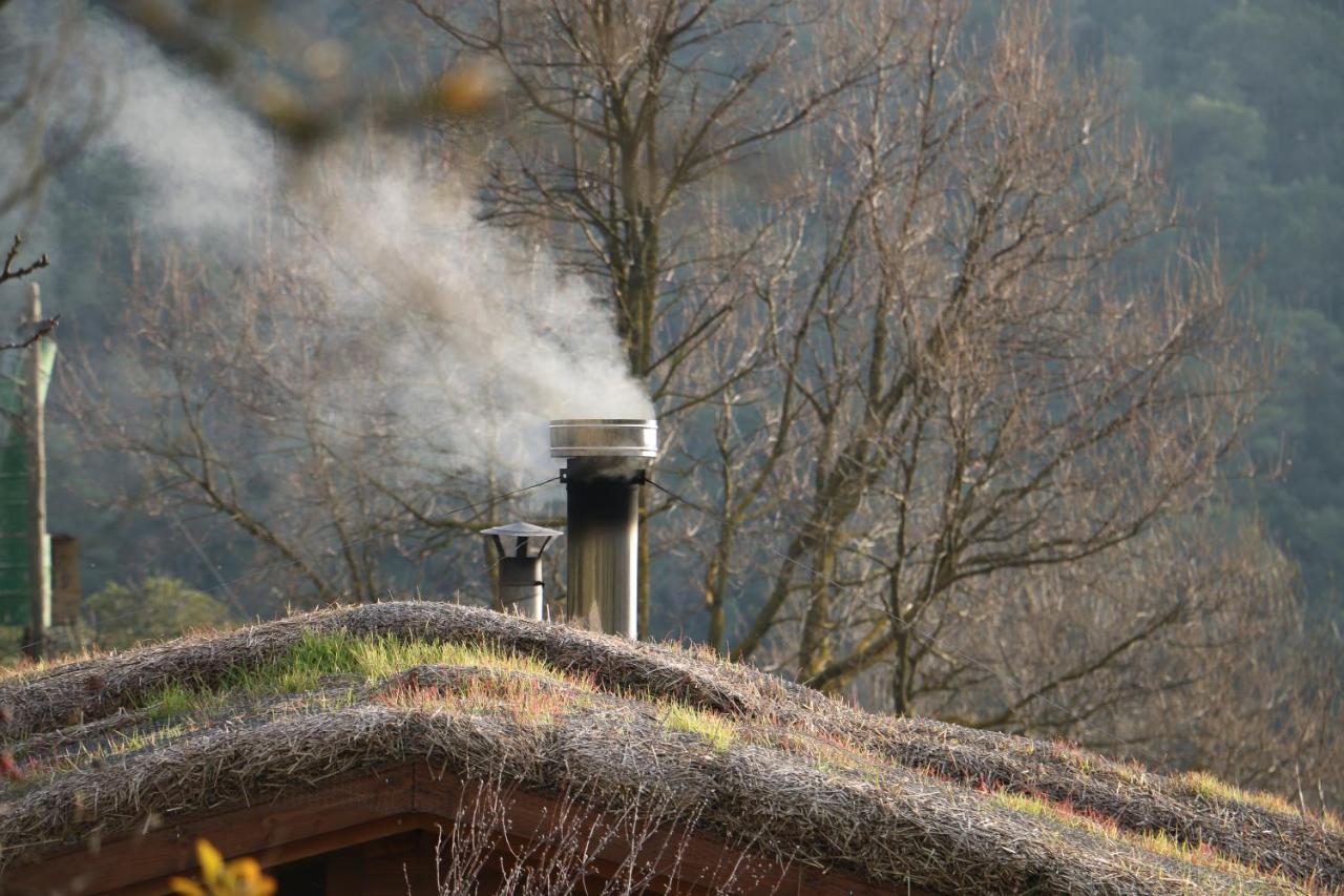 Casa Ecologica En Plena Naturaleza Arboli Экстерьер фото